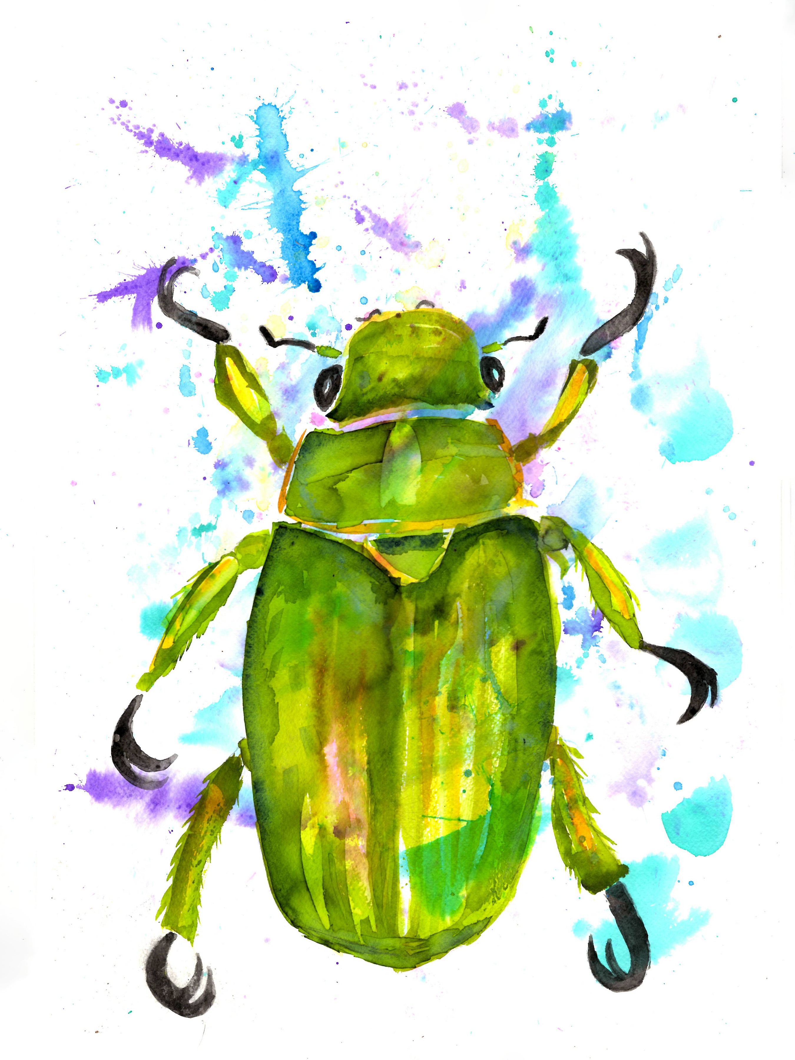 Big Green Beetle