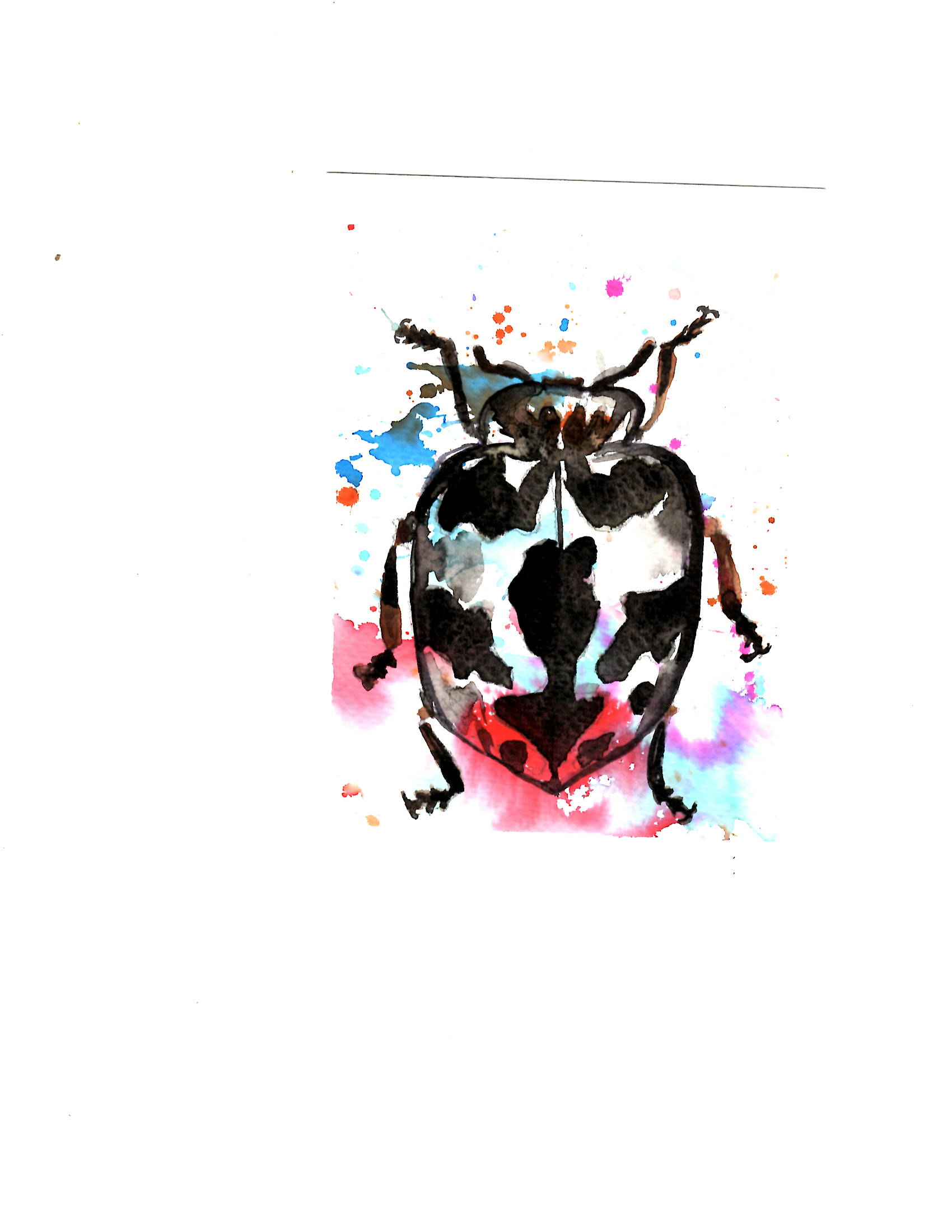 Cow Beetle