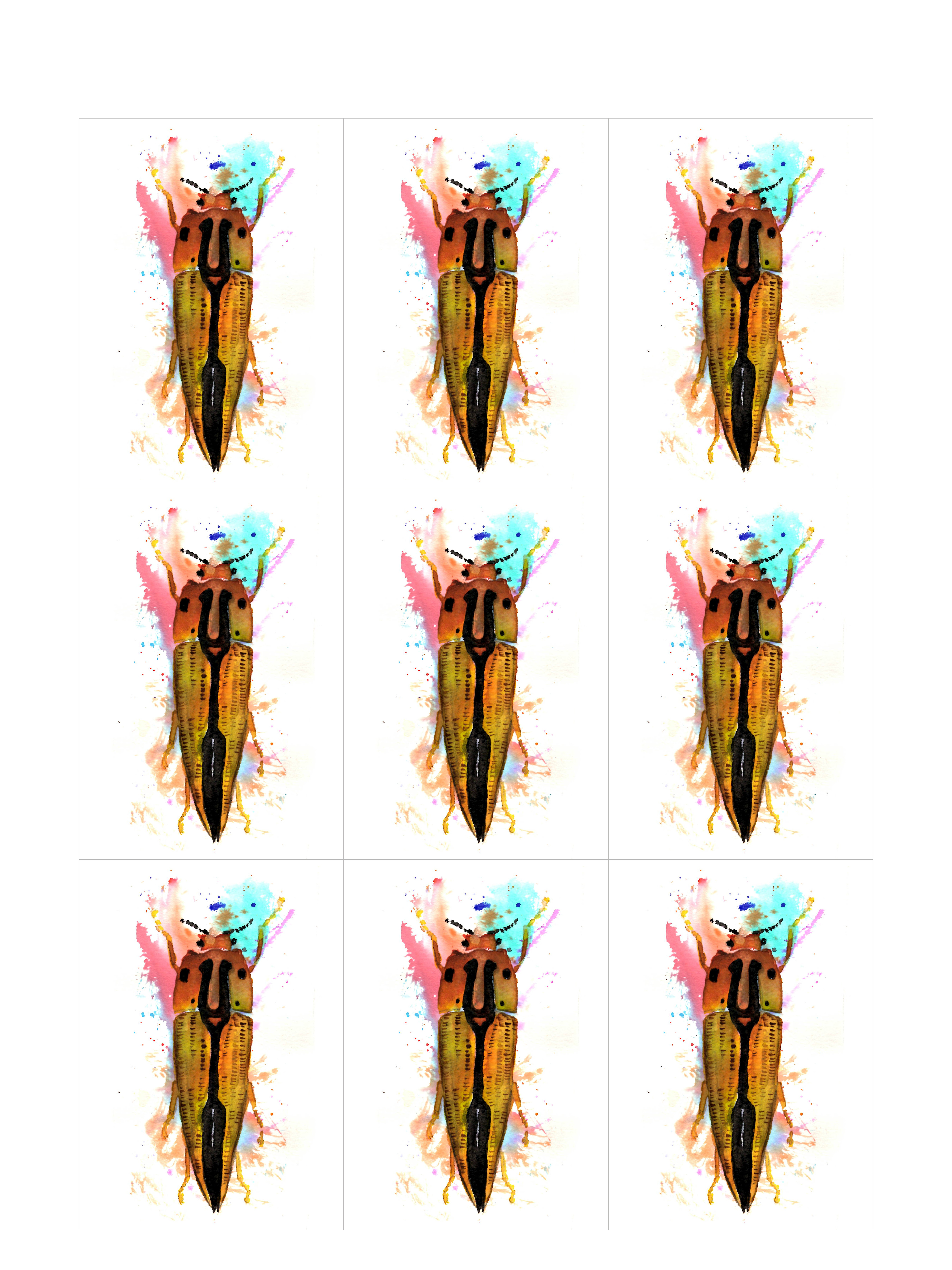 Long Beetle II