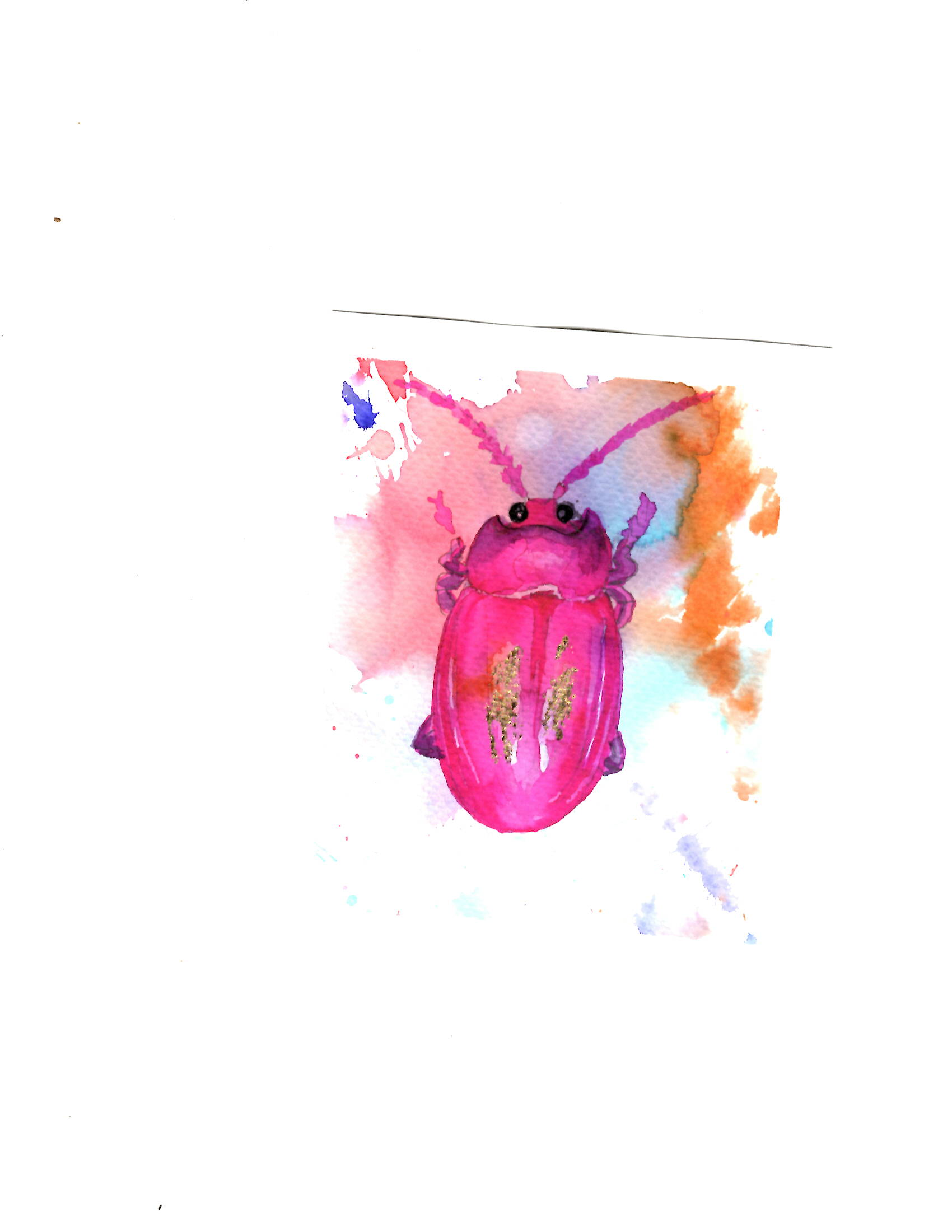 Pink Gold Beetle