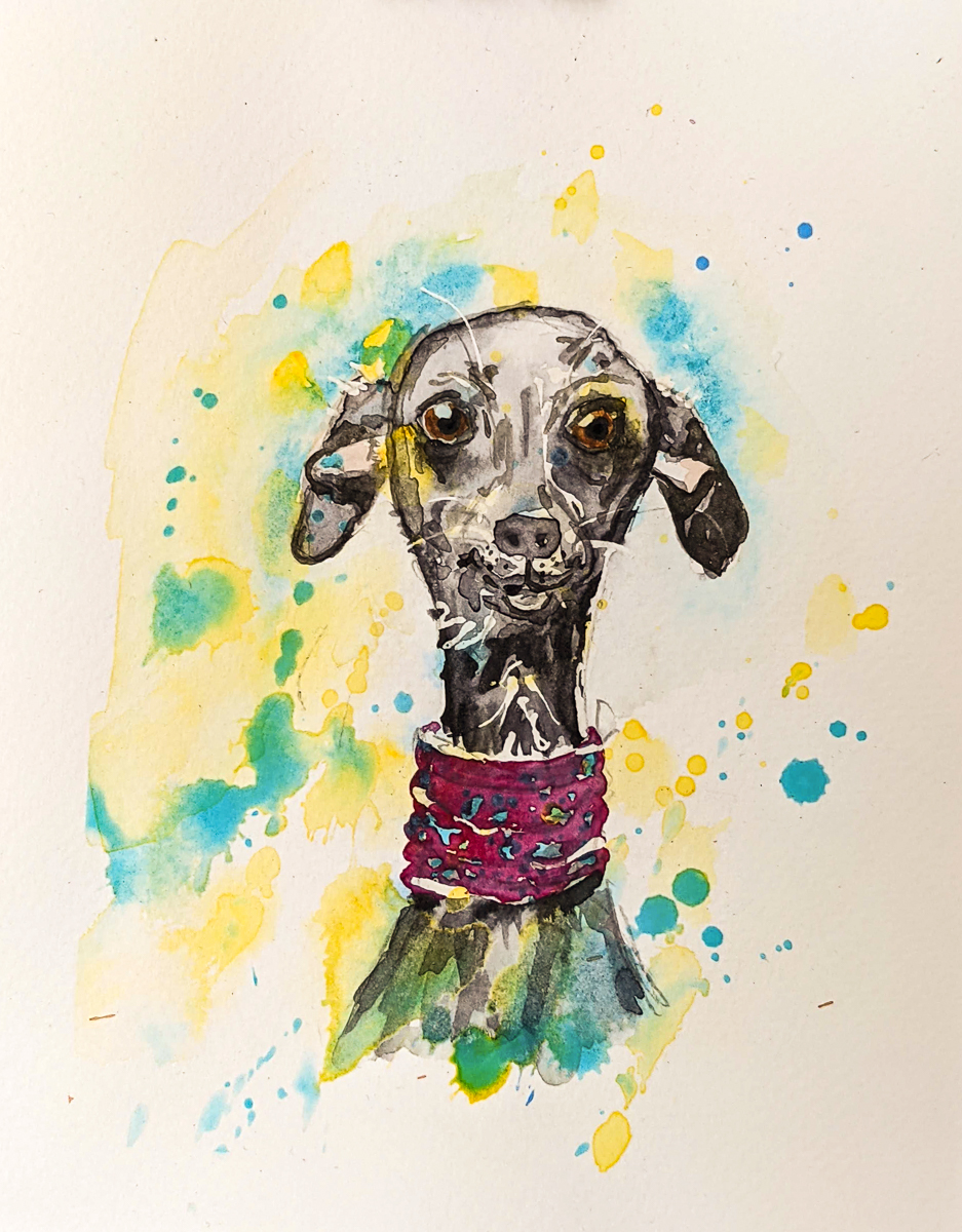 Skinny Little Pup