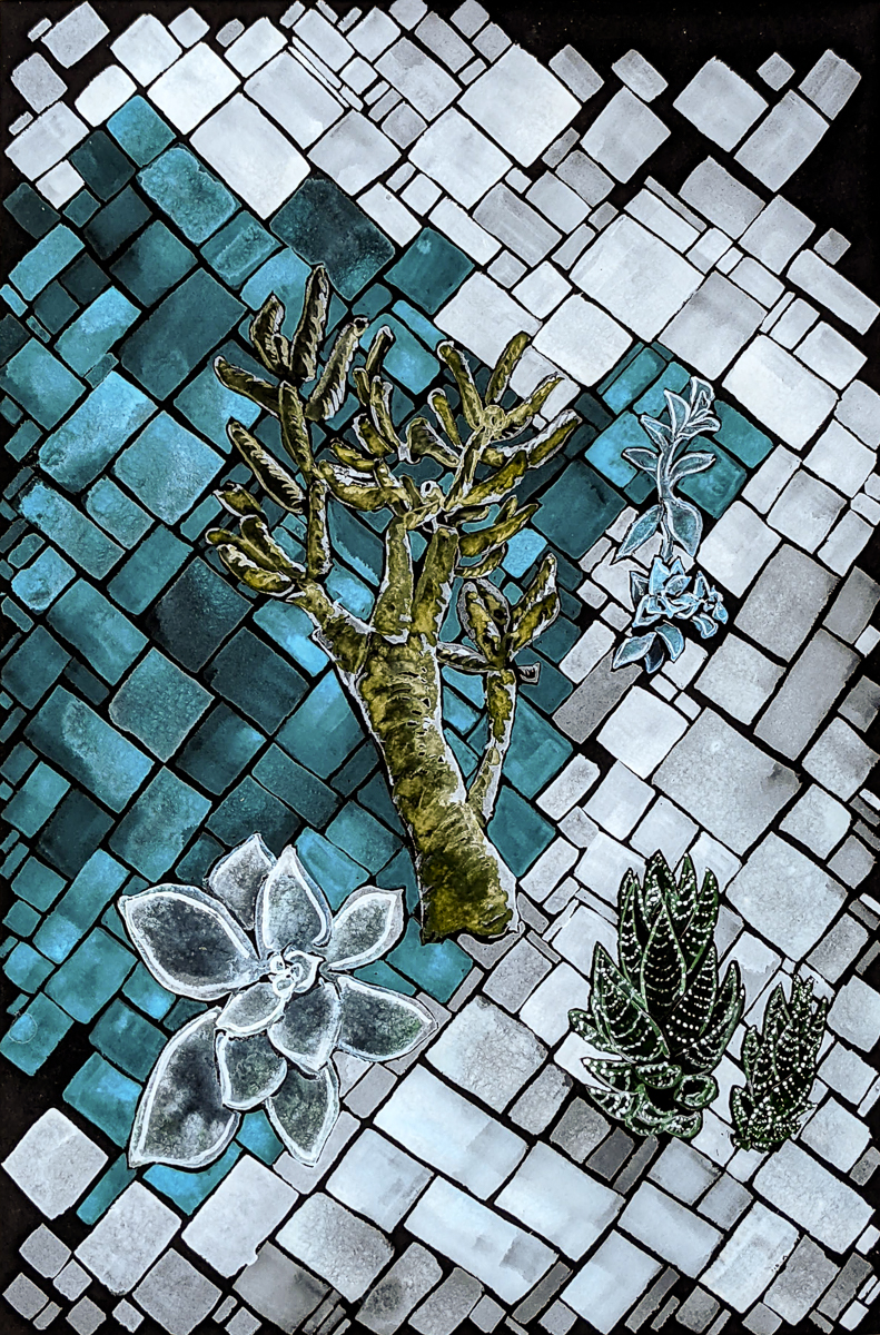Succulents