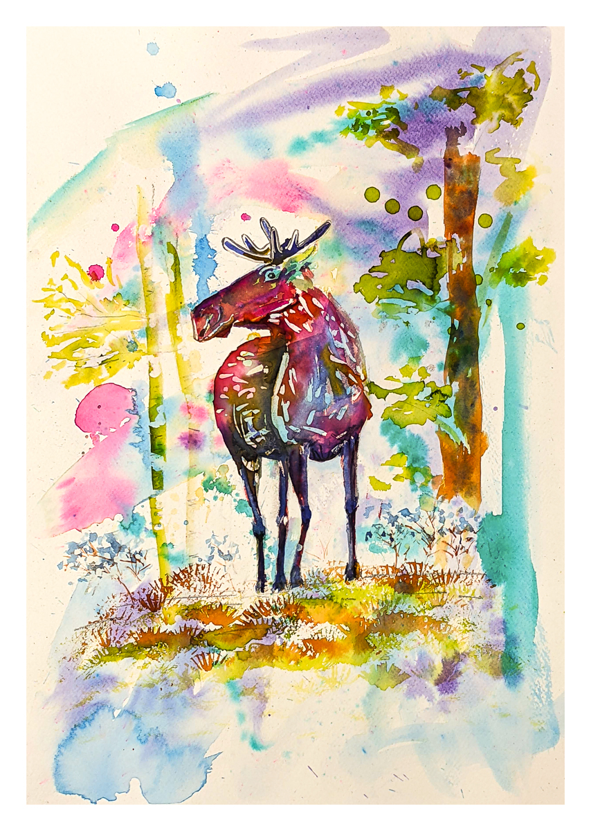 Young Moose
